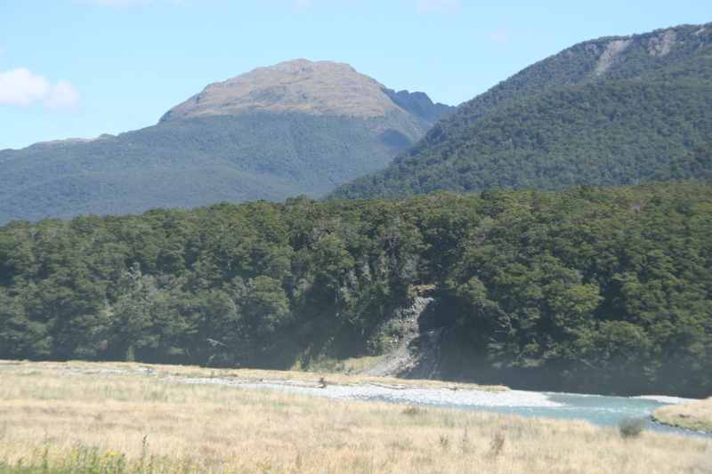Nieuw-Zeeland 2011 - 1578
